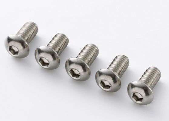 L'hexagone principal rond élevé d'acier inoxydable de la dureté 304 vissent 100% adapté aux besoins du client sous des normes de qualité d'UNI d'OIN DIN BS