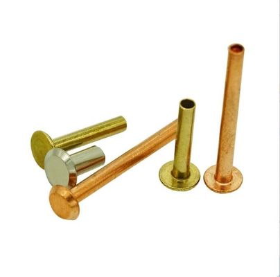Le nickelage sans visibilité de rivets acier inoxydable de cuivre/en laiton/ISO9001 a approuvé