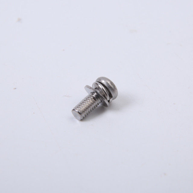 Vis d'acier inoxydable de m2 M2.5 M3 M4 autour de la combinaison principale de Pan Head Bolt With Washer